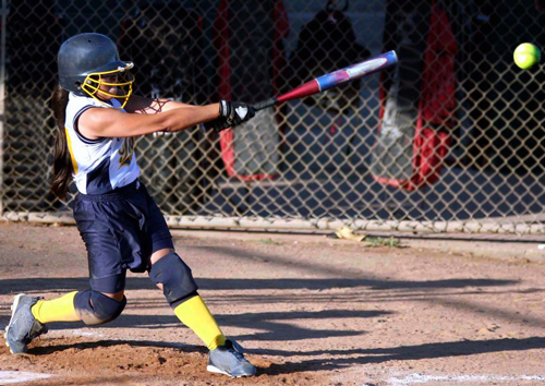 A preview image for the category: Softball Hitting