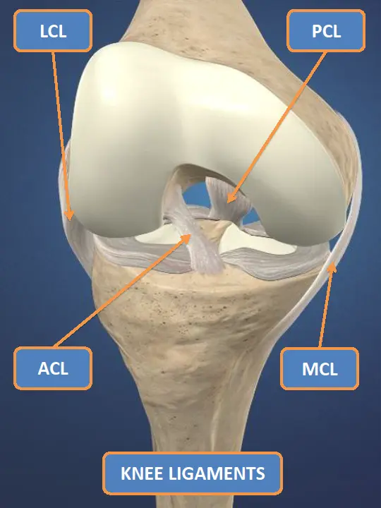 Featured image: The ACL Epidemic in Sports, Part 2: Who’s at Risk?