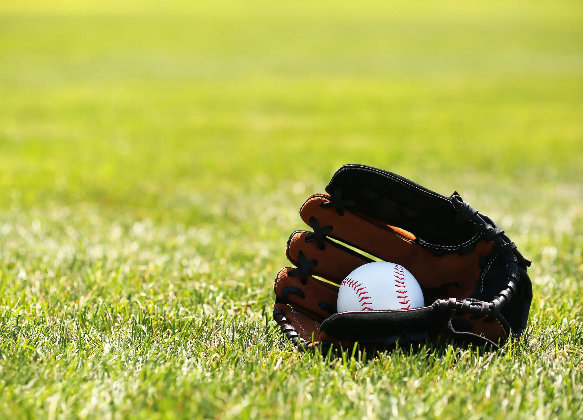 Featured image: How to Effectively Organize a Baseball Tournament