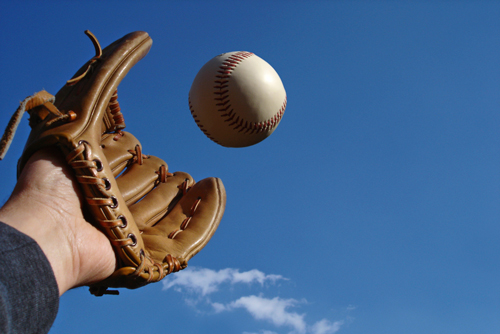 A preview image for the category: Catching