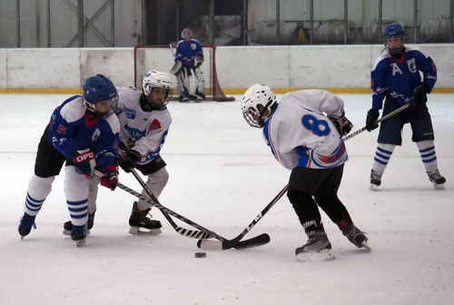 A preview image for the category: Hockey Stickhandling