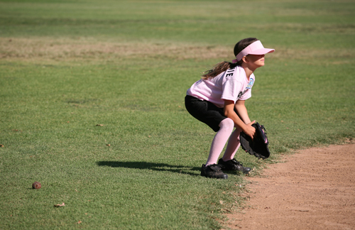 A preview image for the category: Softball Fielding