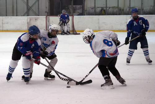 A preview image for the article: How to Photograph a Hockey Game 