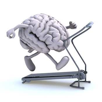 A preview image for the article: Your Brain Needs You To Exercise, Too