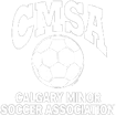 CMSA Logo